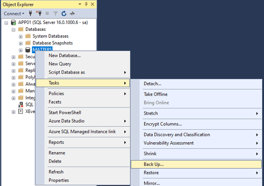 SSMS backup